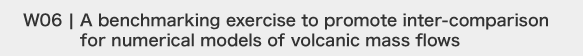 A benchmarking exercise to promote inter-comparison for numerical models of volcanic mass flows